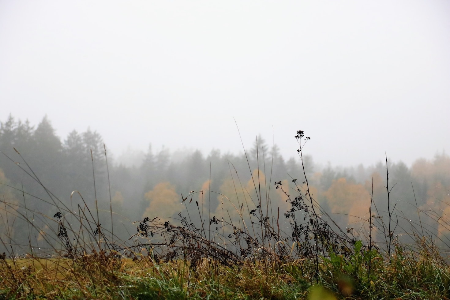 The Role of Minimalism in Effective Leadership