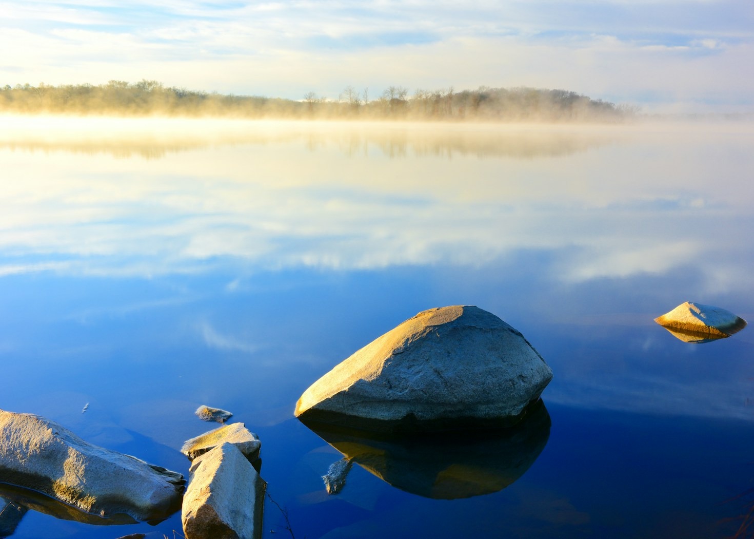 Empowering Future Leaders: The Vyta Approach